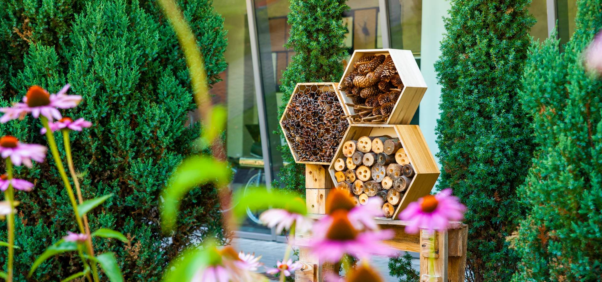 Hotel à insecte favorisant la biodiversité : lisez nos actualités pour savoir comment